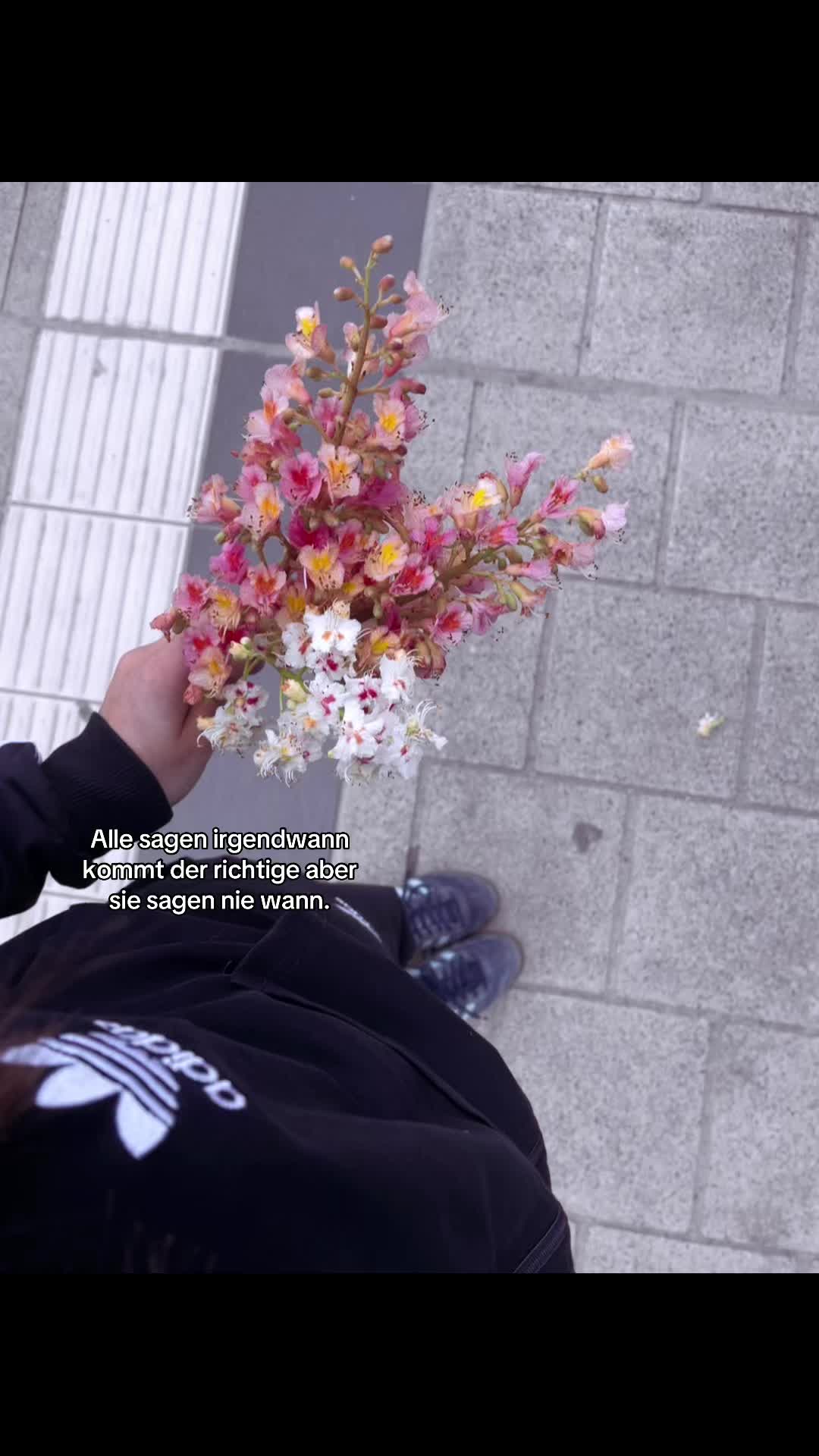 @Laura🌟