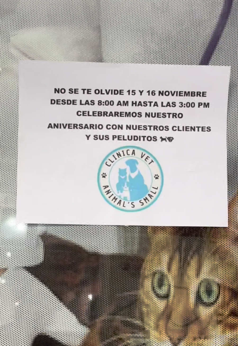 @Animal Small