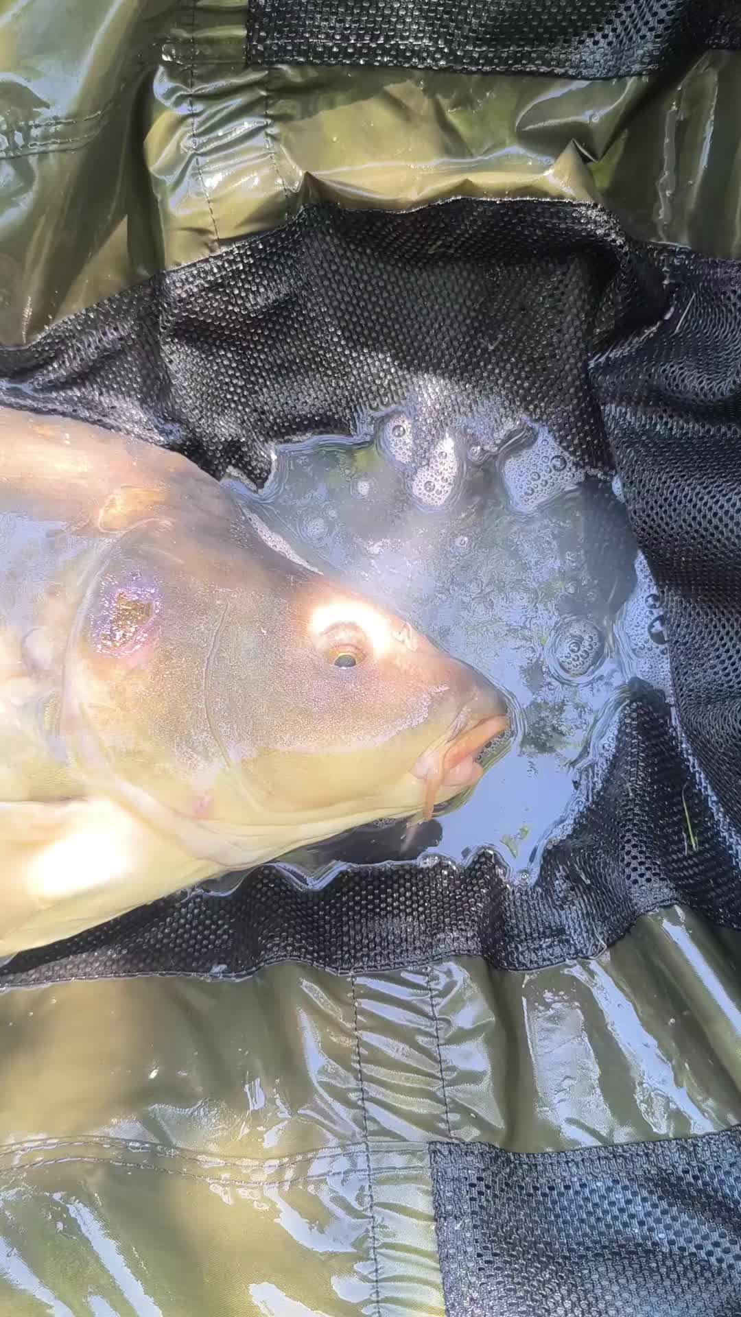 @Jocarpfishing
