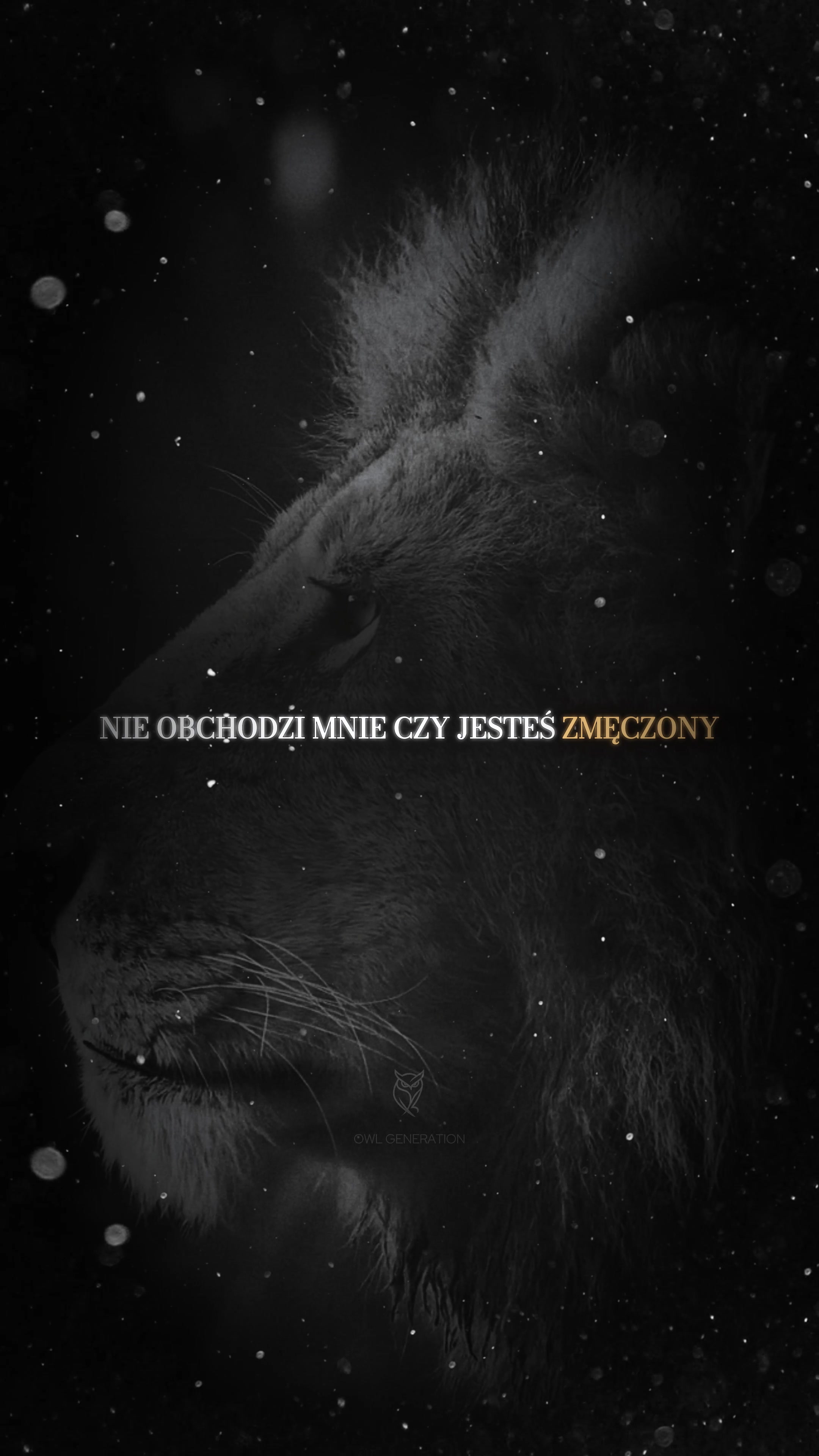@OwlGeneration🦉🌙