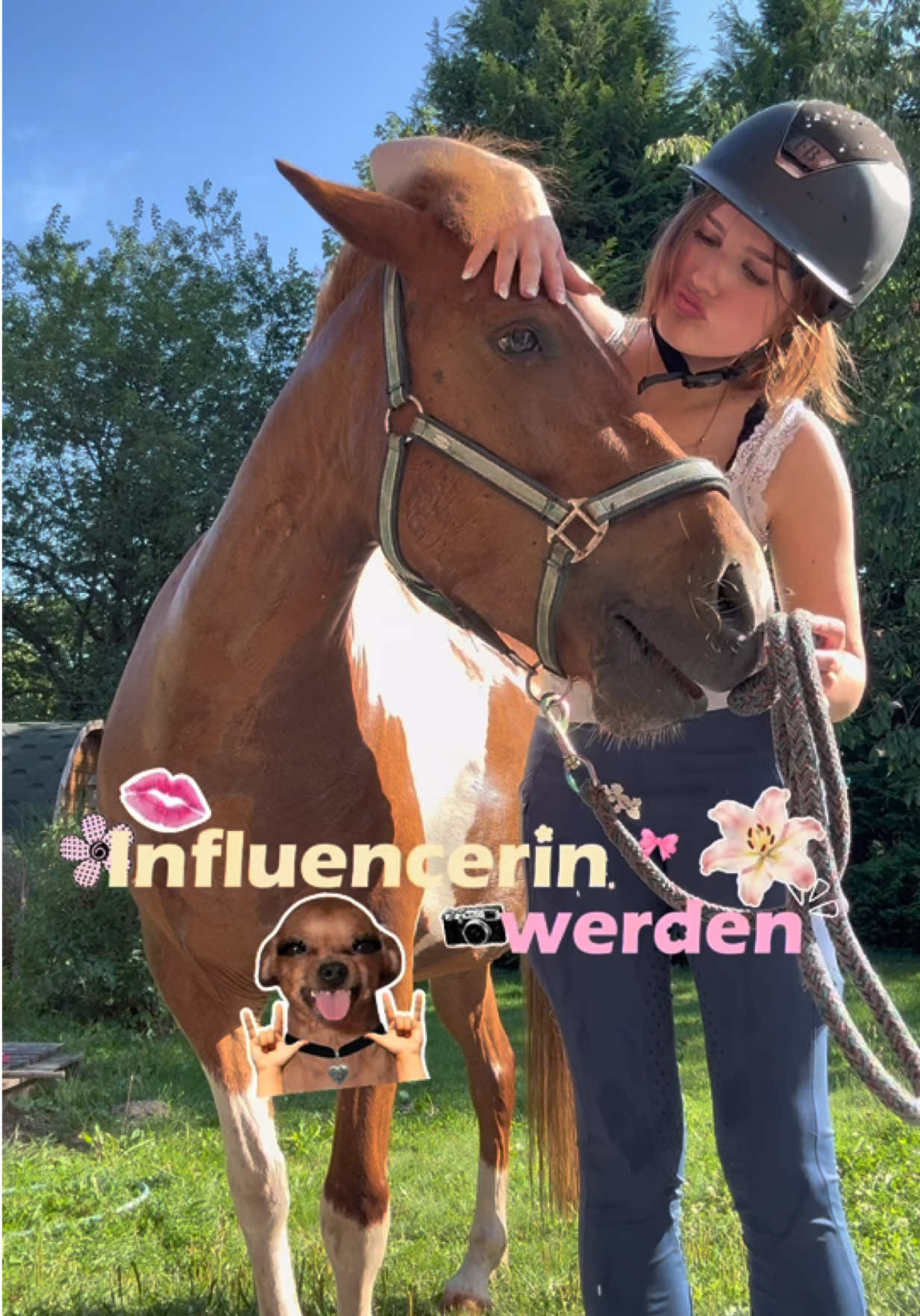 @Pferde Paradies