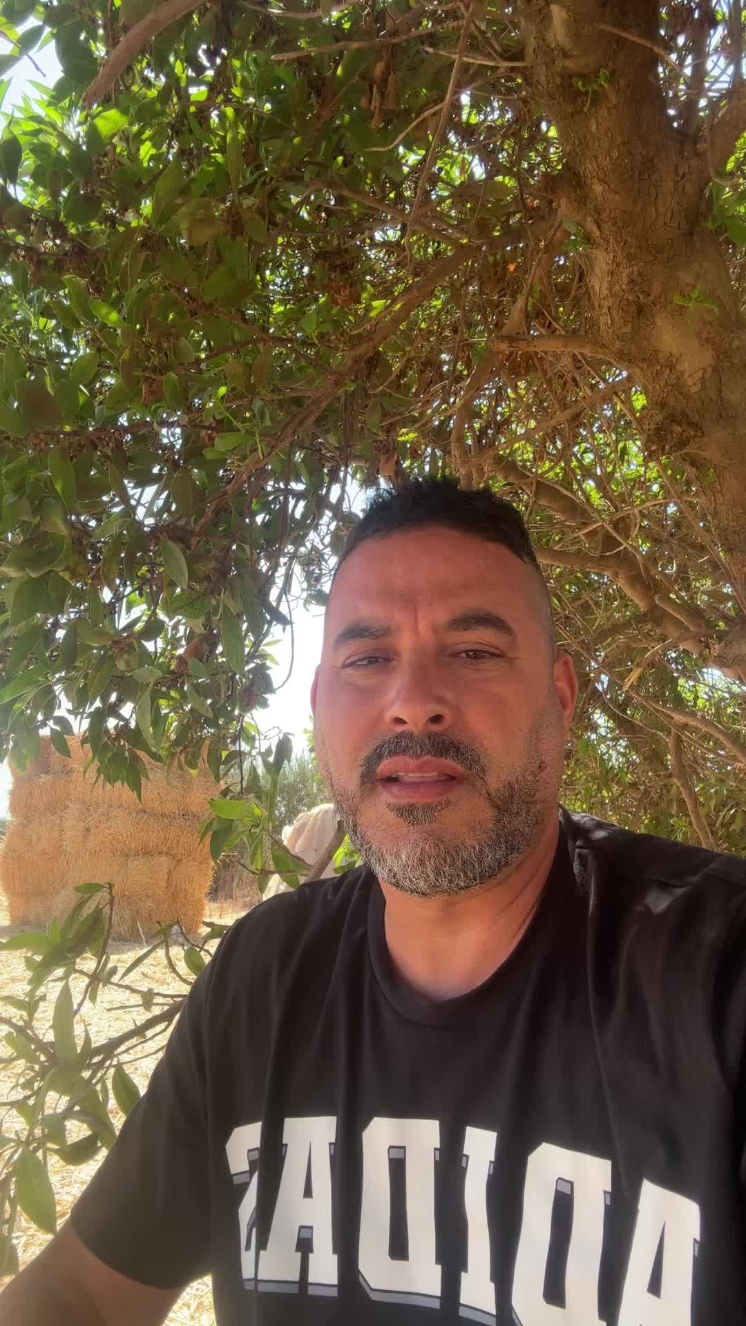 @anware Elhajjajy