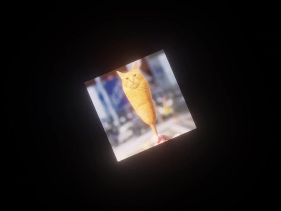@bread_.cat