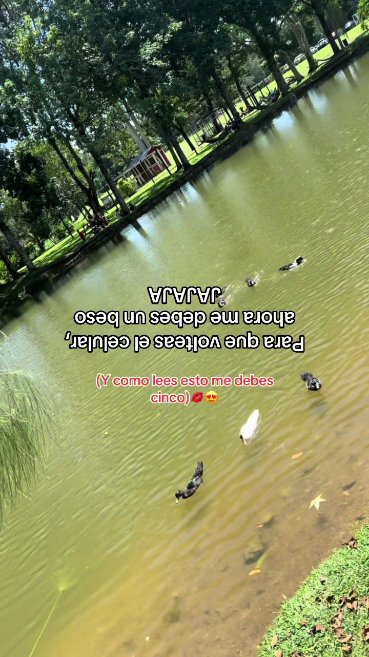 @ 💎ᴠͥɪͣᴘͫ⌯⌲𝒥ℴ𝓈𝓊é5.04 🏝️