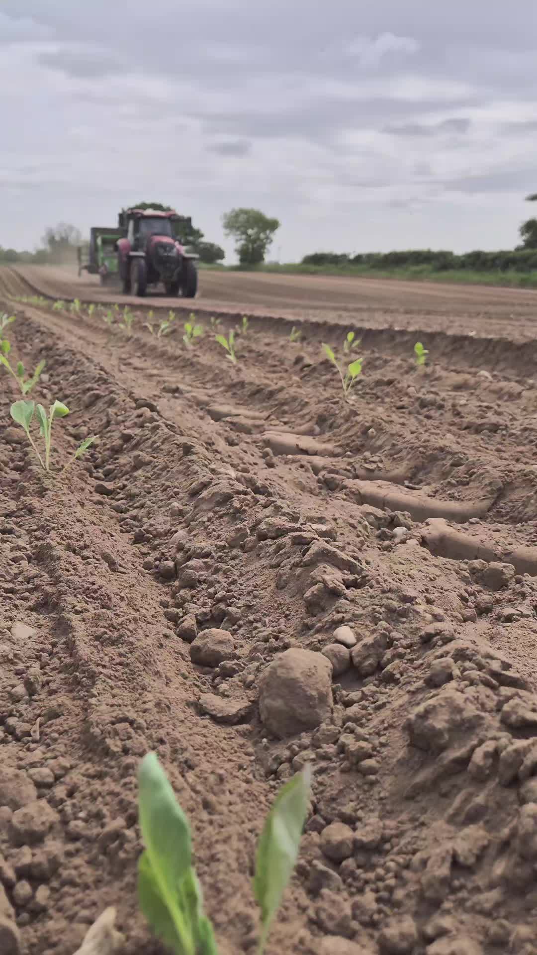 @Agriplant