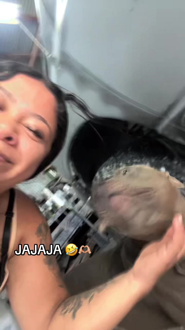 @Nala🦁🩷
