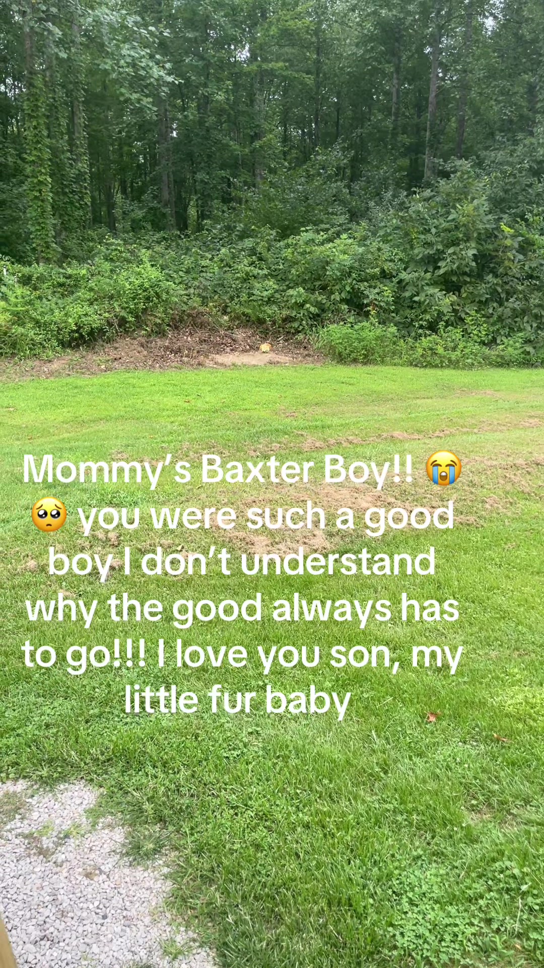 @BlessedMama90(Sophia)💋