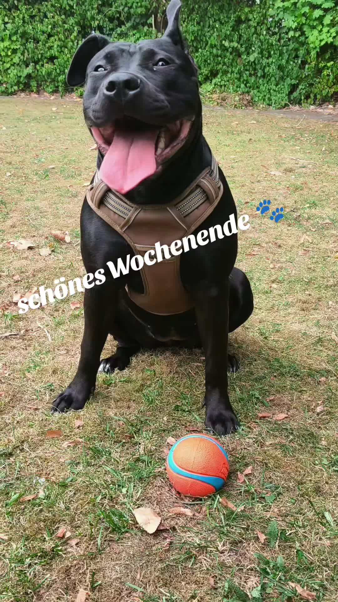 @♈𝑴𝒂𝒕𝒛𝒊𝑴𝒂𝒕𝒛𝒆♈