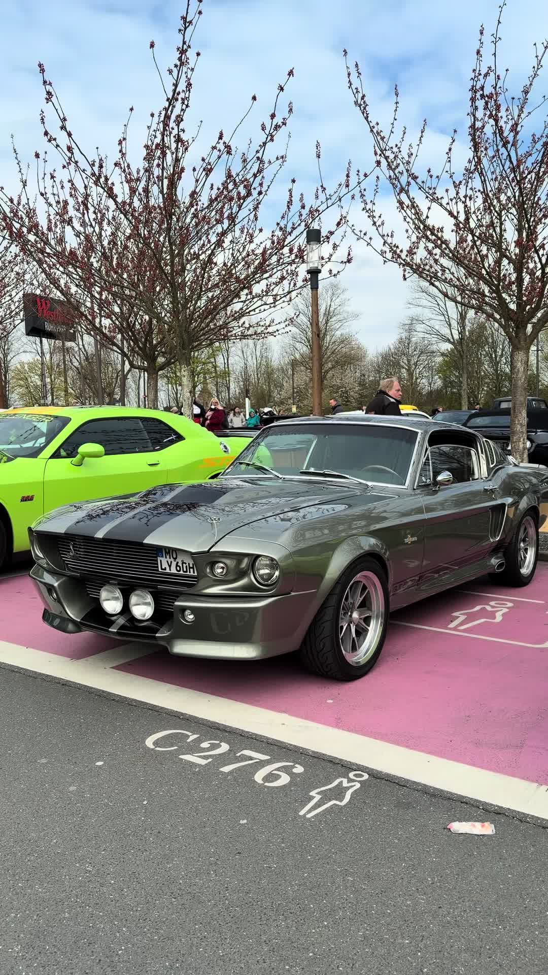 @Classic Car Society
