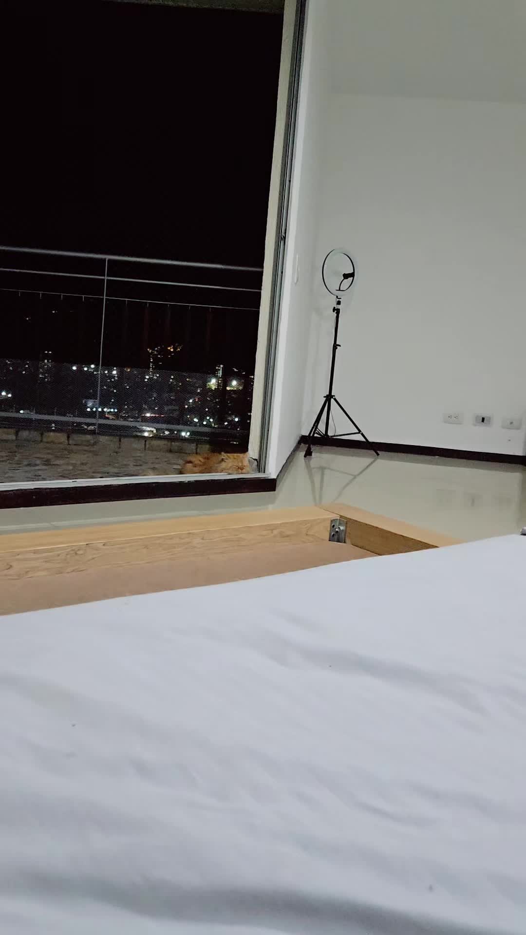 @Luna