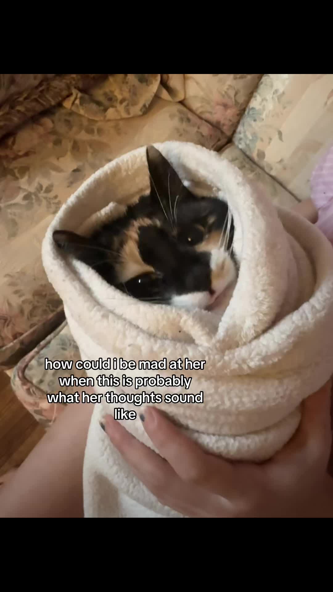 @pomegranatetampon