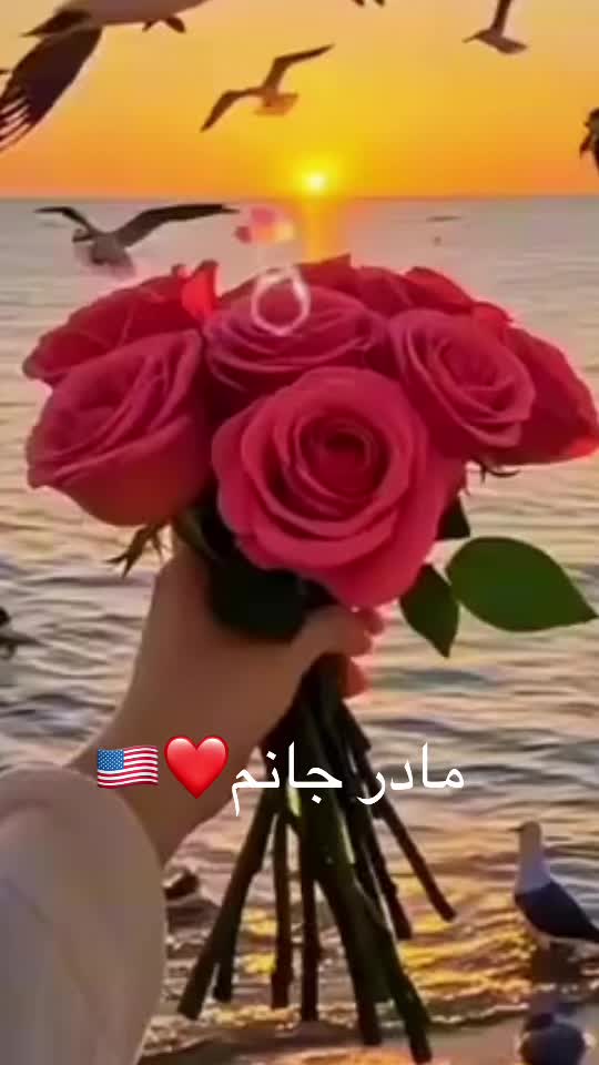 @M Aqeel fyar