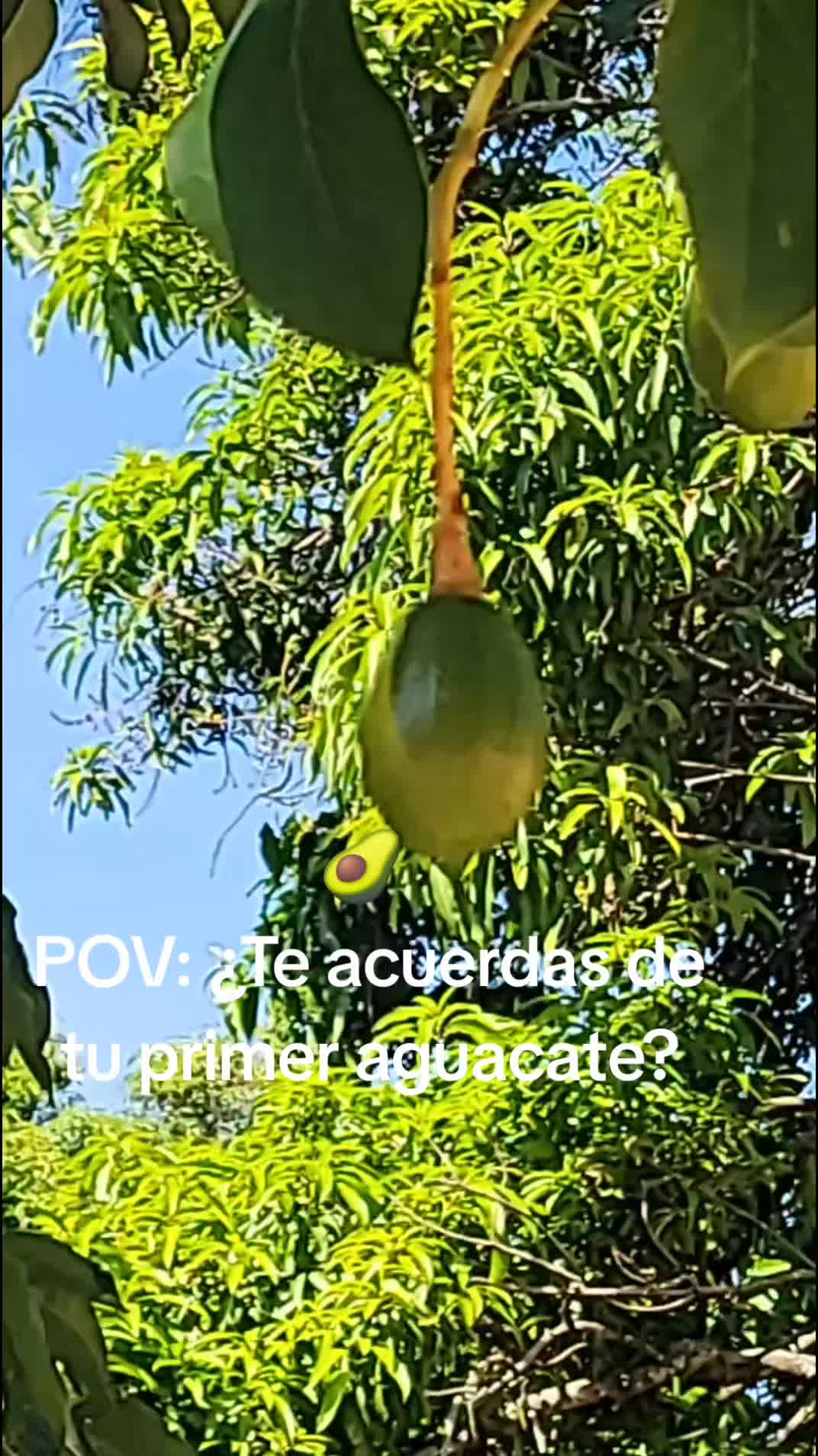 @lucymanzano