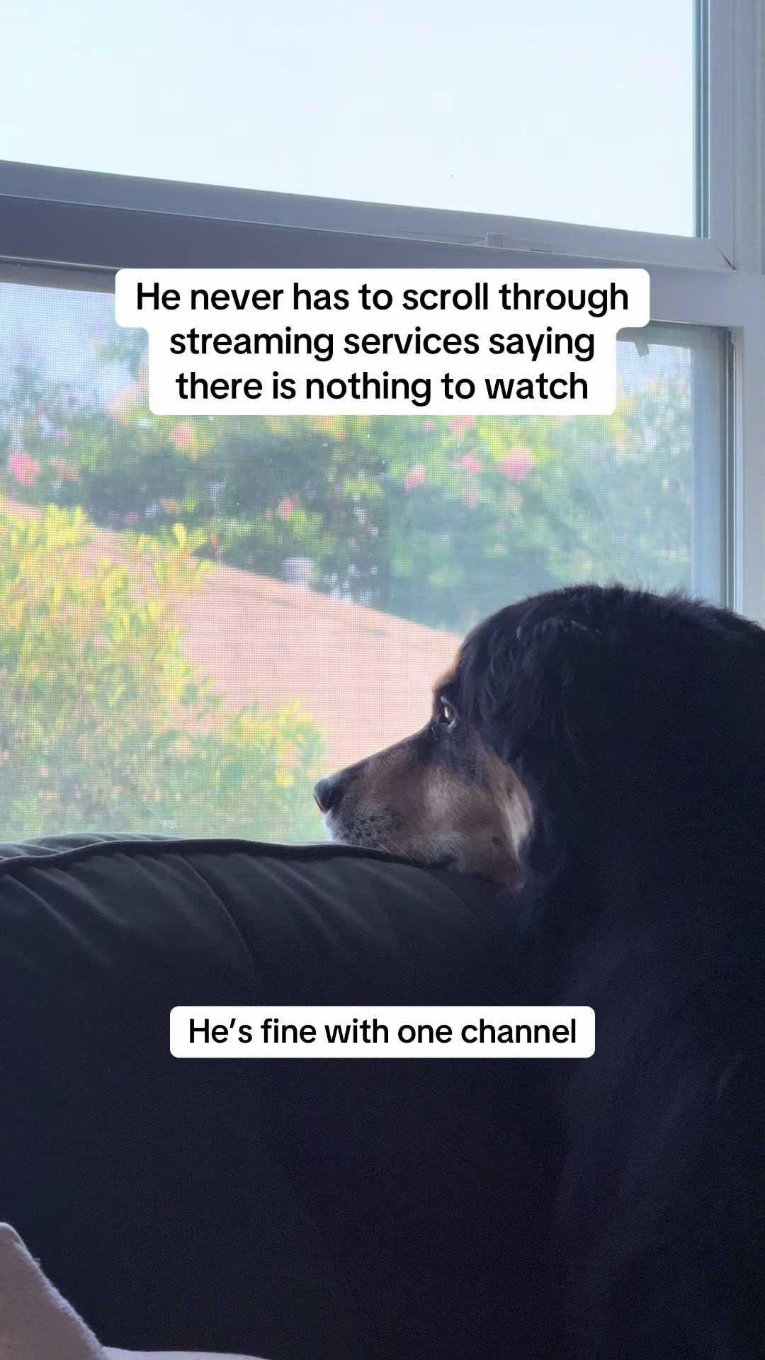 @BoopleTheSnoot