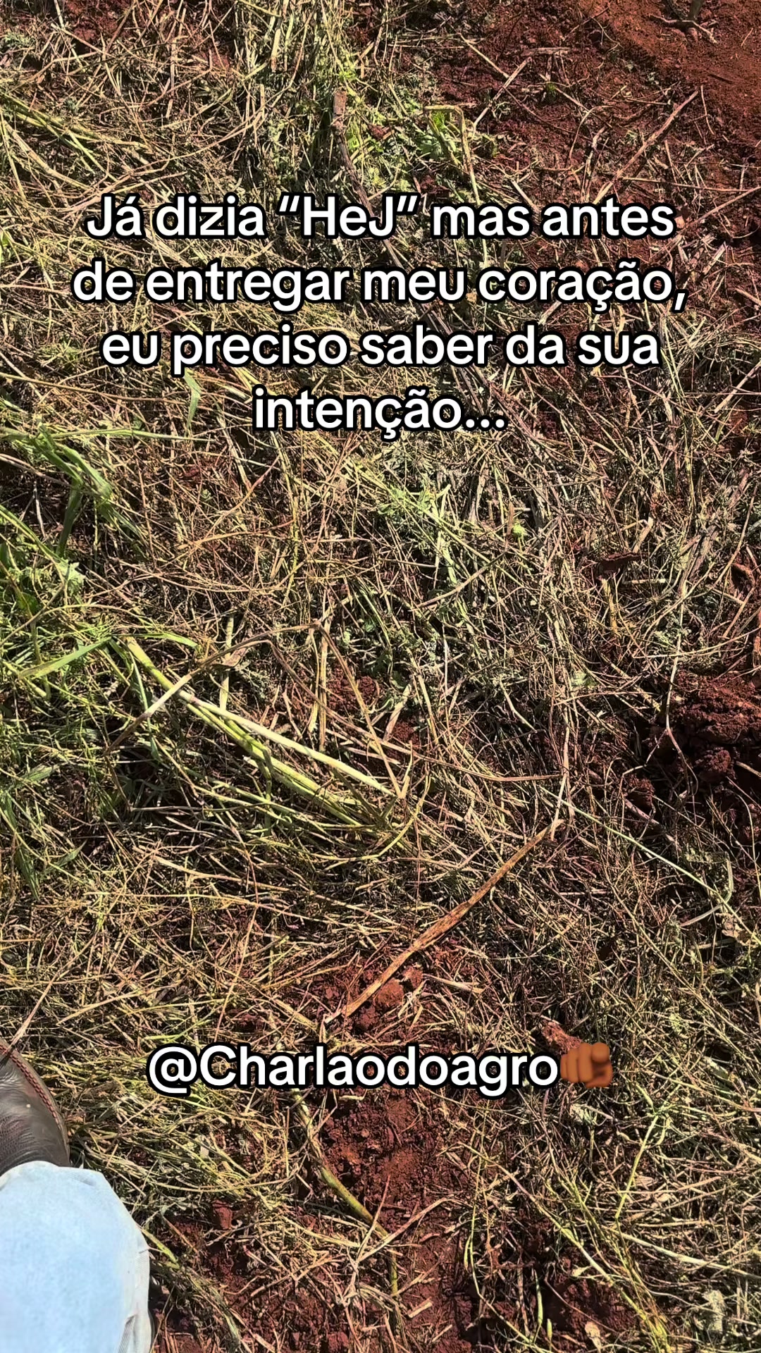 @CHARLAODOAGRO 🤠