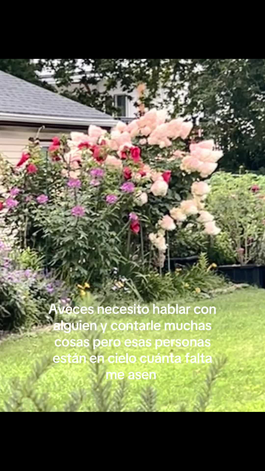 @Eva Jimenez