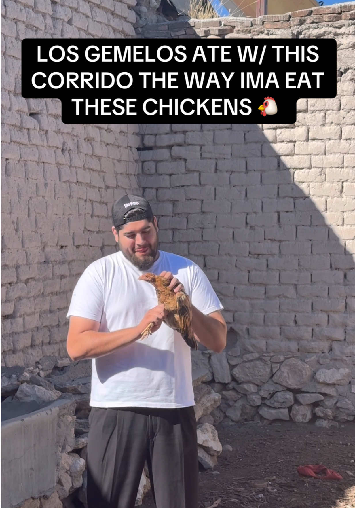 @pancheetoxtra