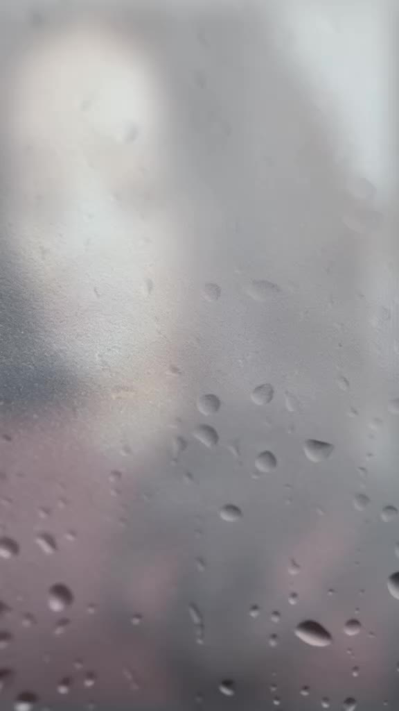 @இவள்🕊️