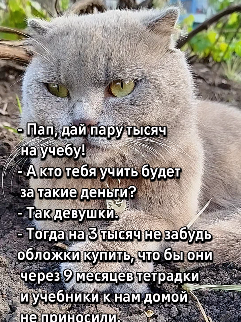 @🐈Масик&Андрей🥰