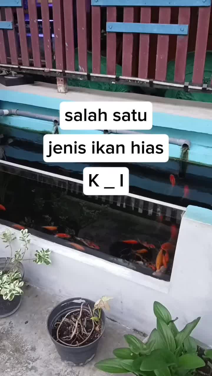 @Yayan c Wijaya