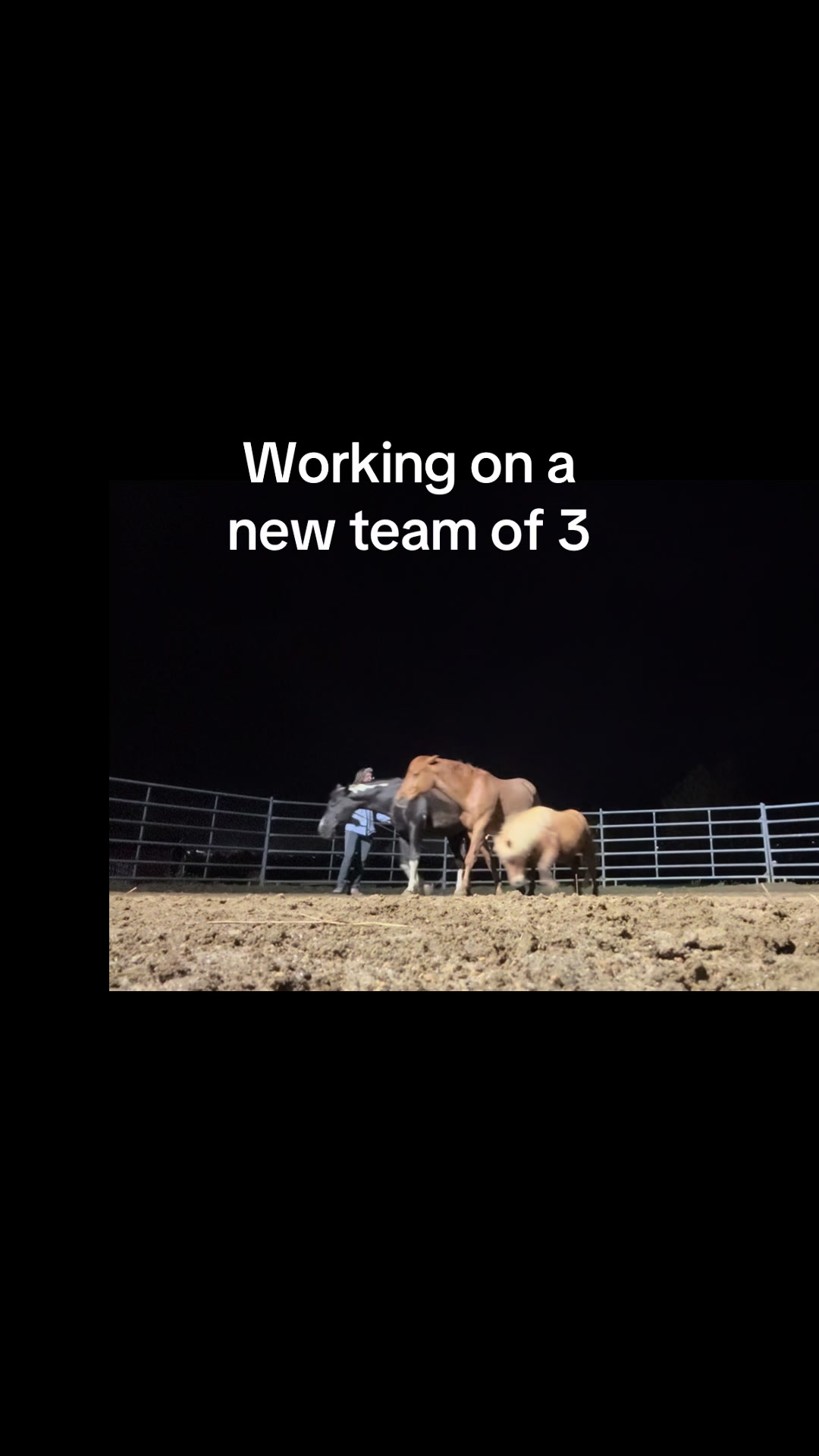 @Janet..Fuzzy.farm.gang