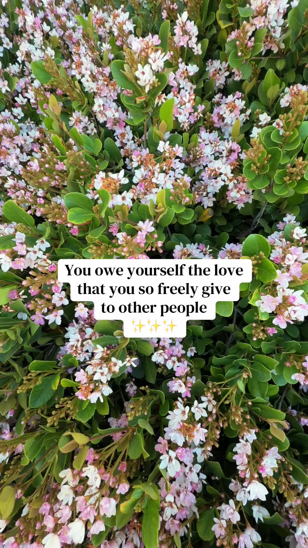 @Katie | Healing + Humor