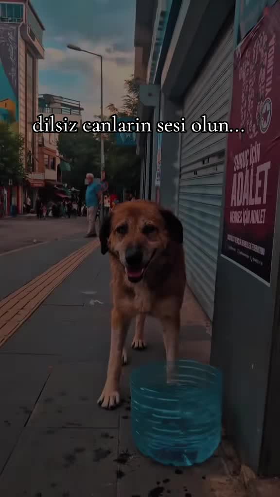 @naciye bul