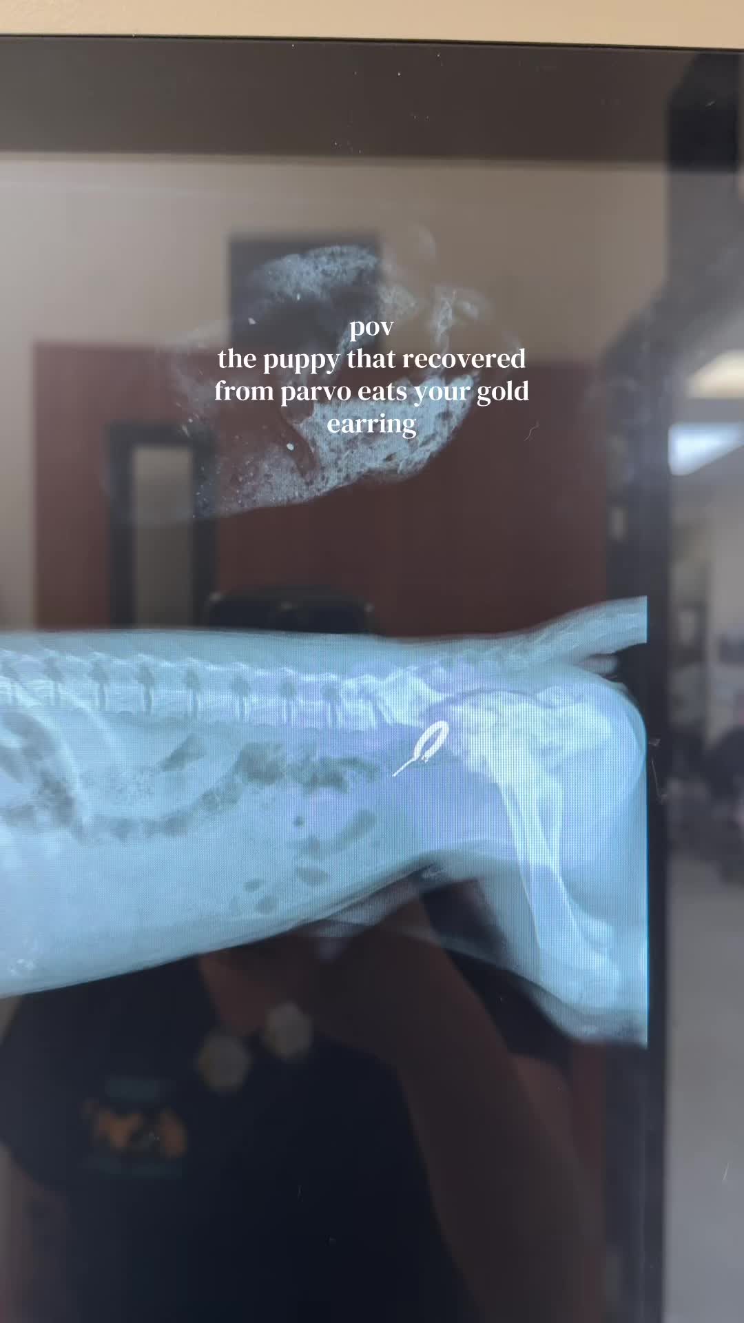 @𝔇𝔢𝔫