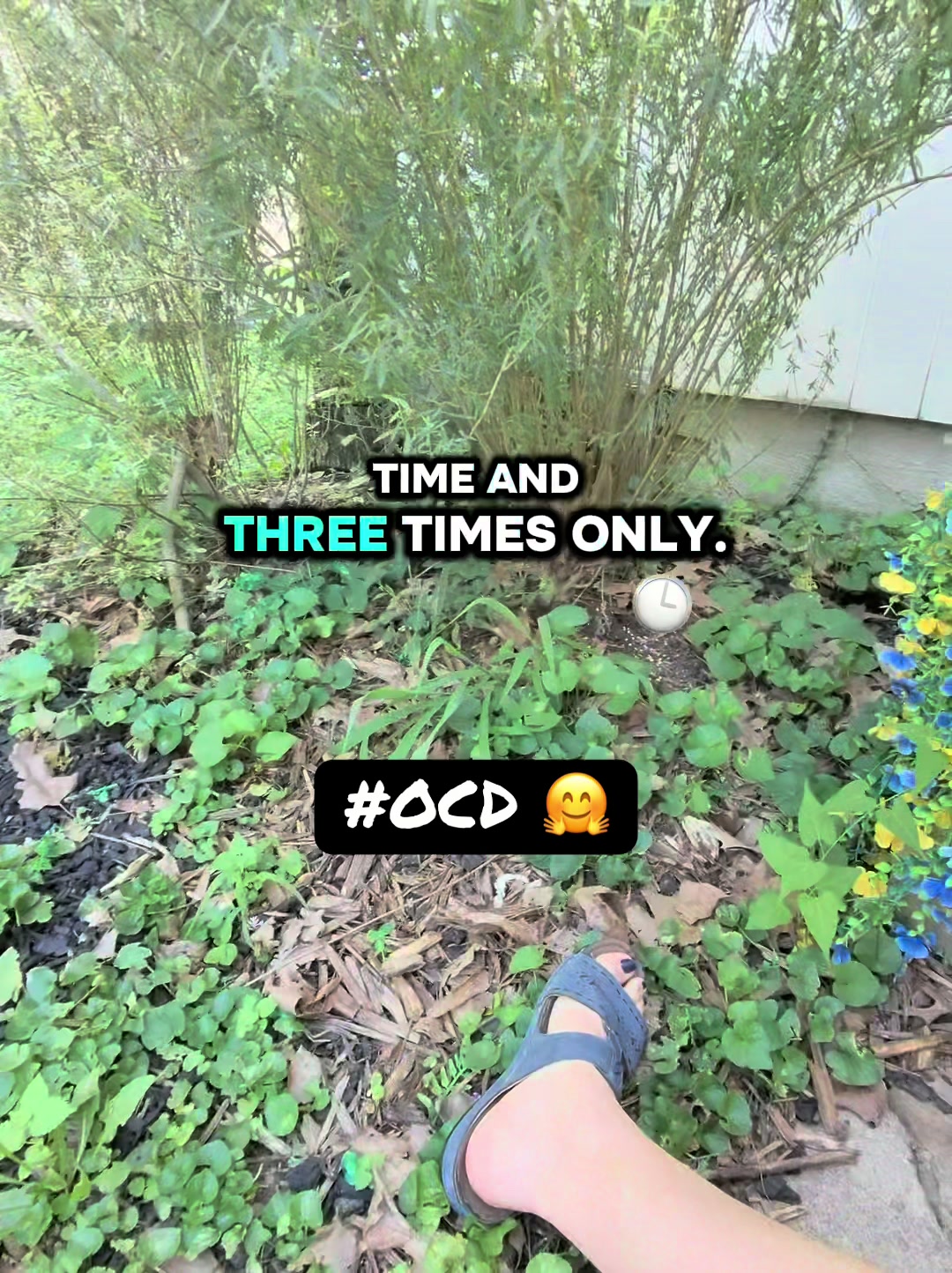 @Boohavingfun