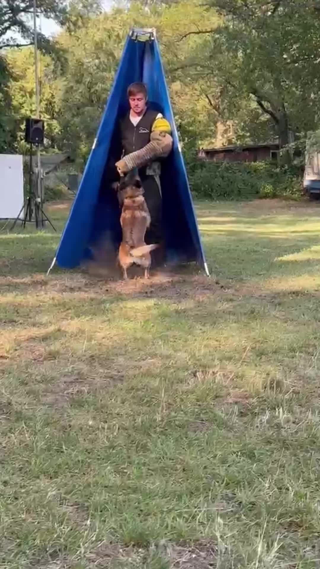 @Jasi&Tobi Dogsport