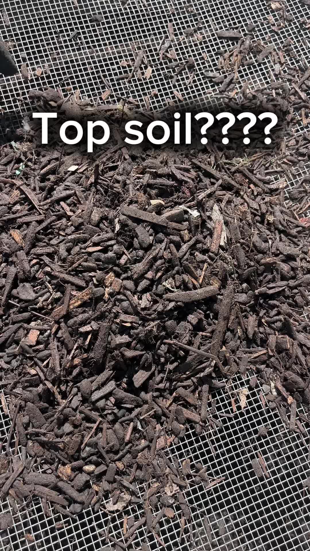 @Lawngest Yard