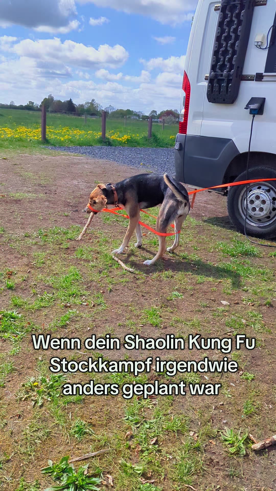 @ꪑⅈꪶꪖ ꪑꪮꪀᥴꫝꫝⅈᥴꫝⅈ