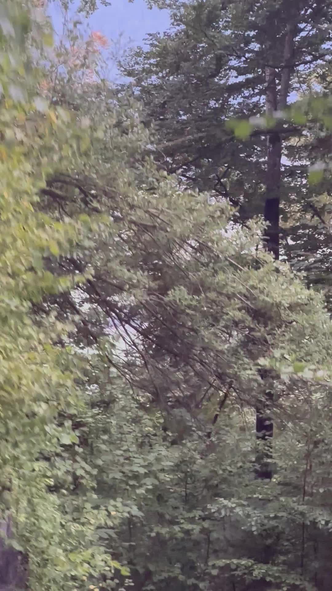 @r
