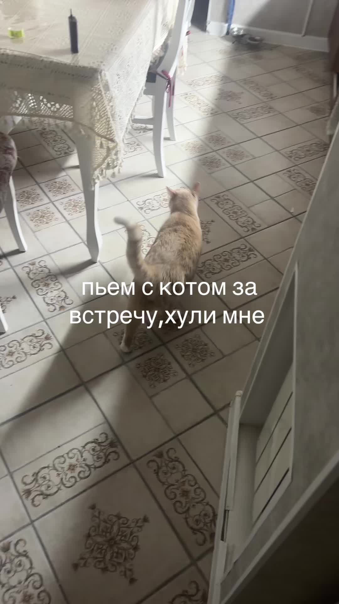 @тгк:любитменя