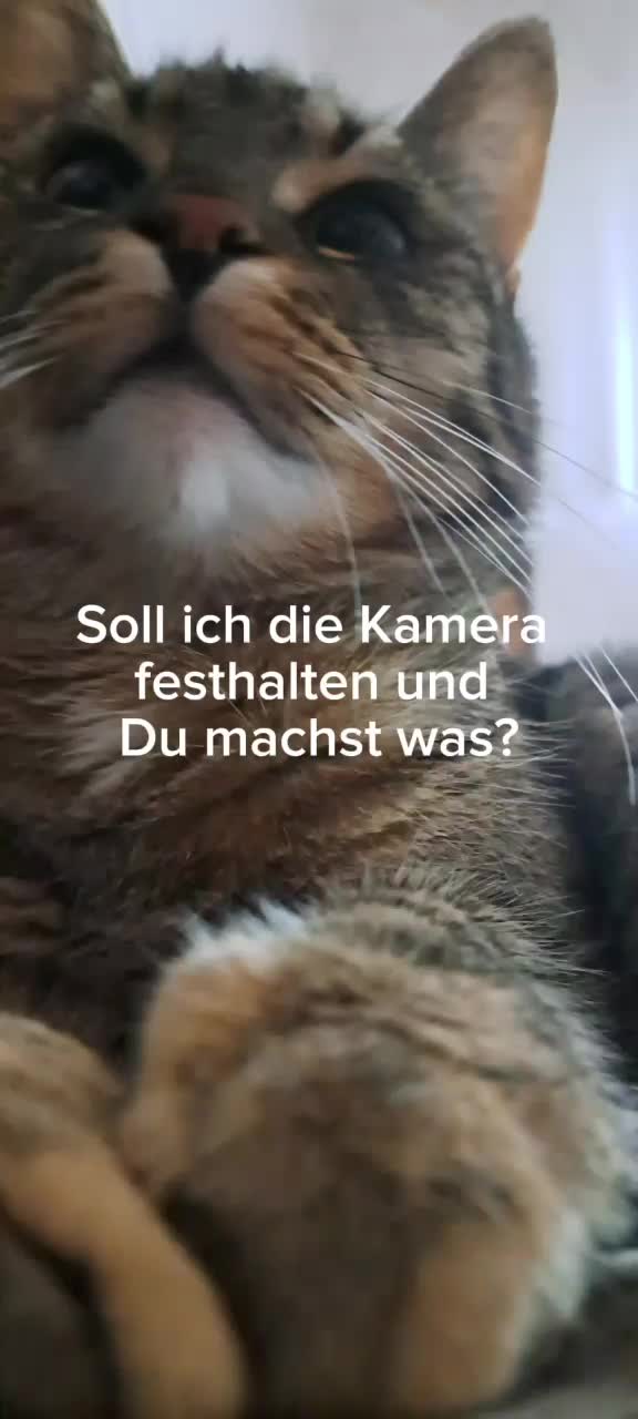 @Luna und Lisa