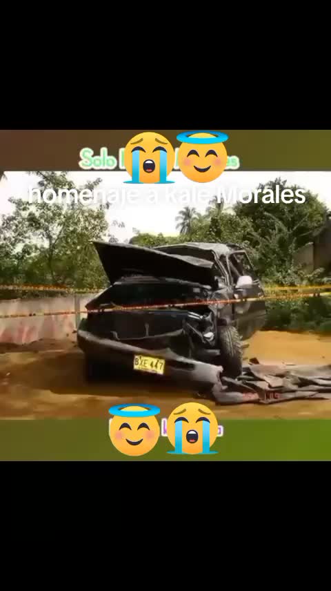 @Luis Sierra
