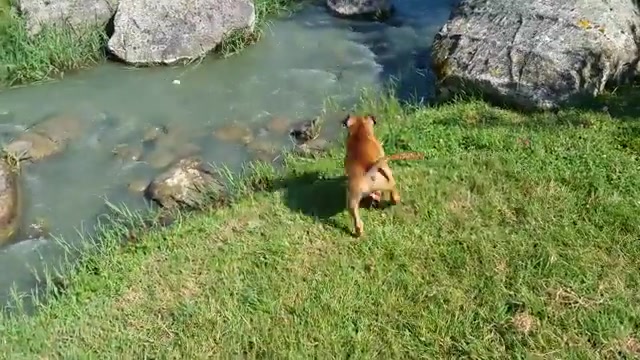 @๐๐ฆ๐๐๐๐๐๐ฆฉ๐๐ ๐ฃ๐๐ง๐๐ฃ