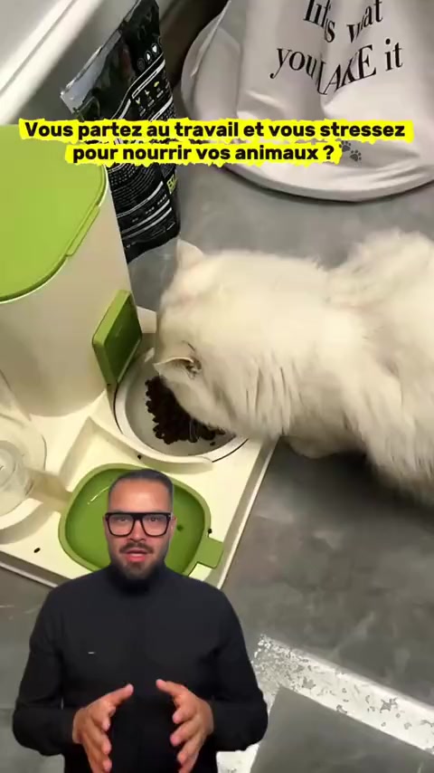 @GenPrimeX