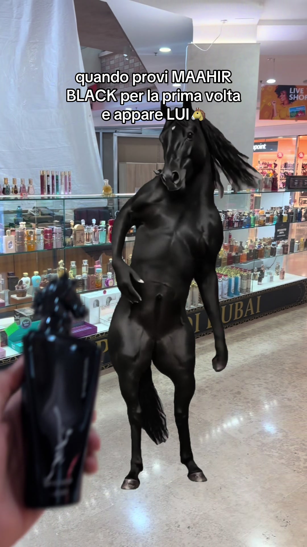 @perledidubai