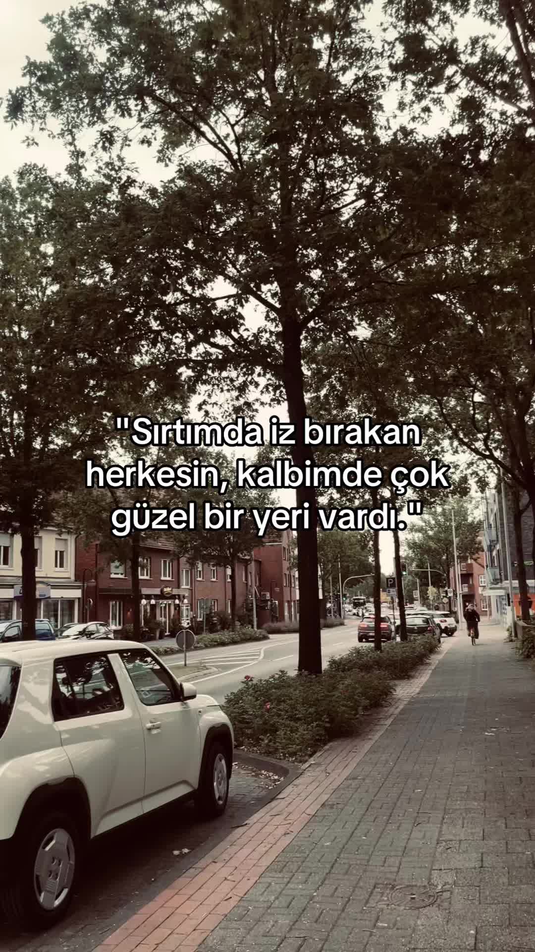 @73_storyy
