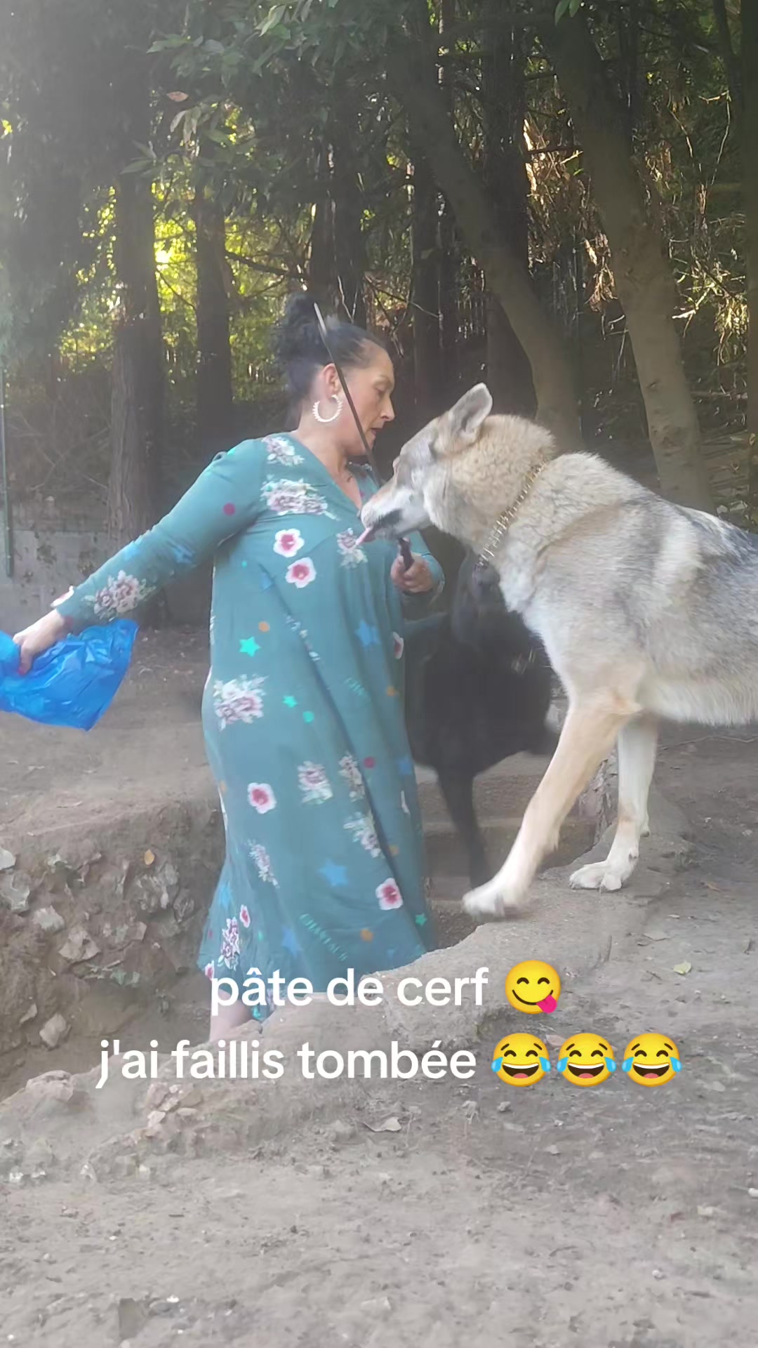 @🐺🐺❤