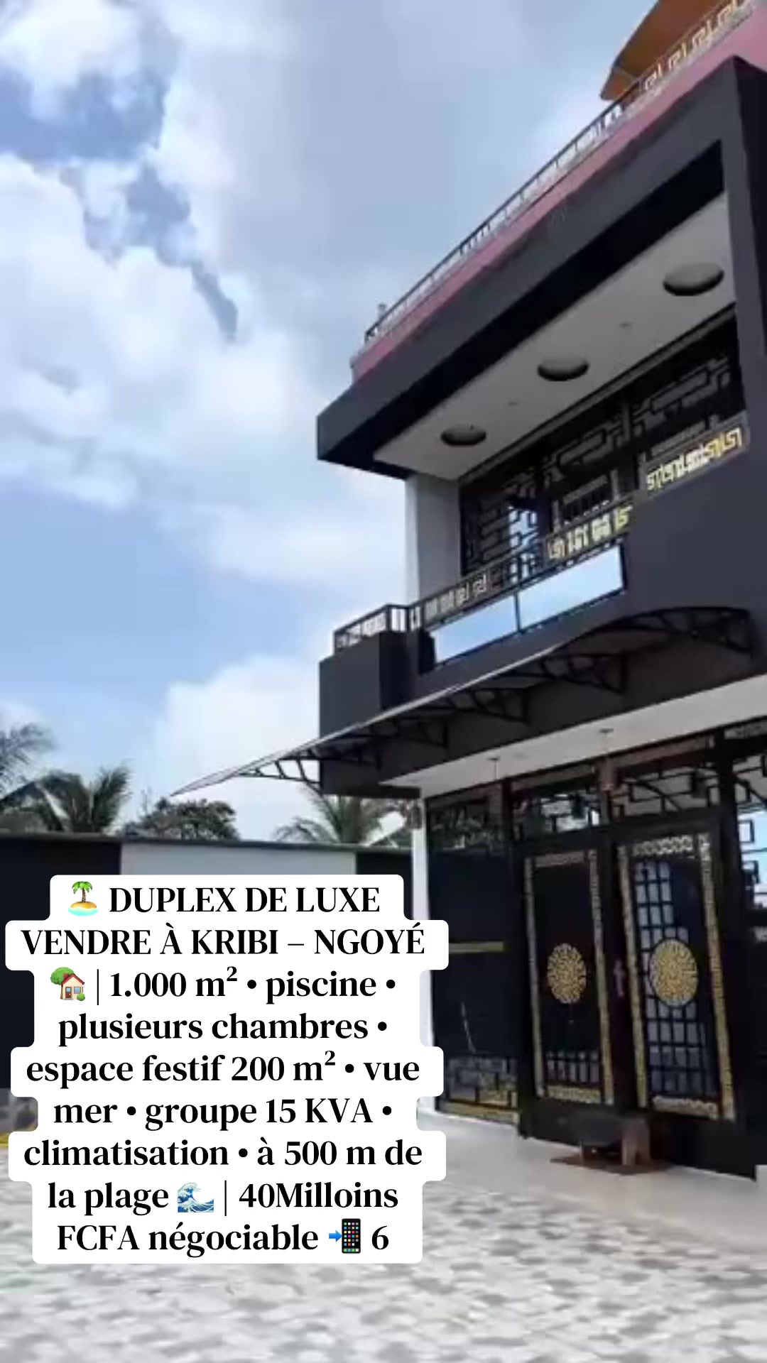 @DINO~IMMO~237🇨🇲🇨🇲