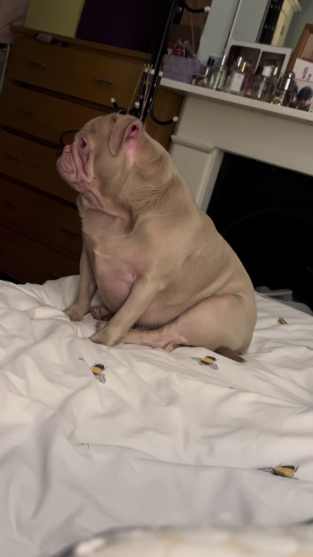 @pinkpugrufus