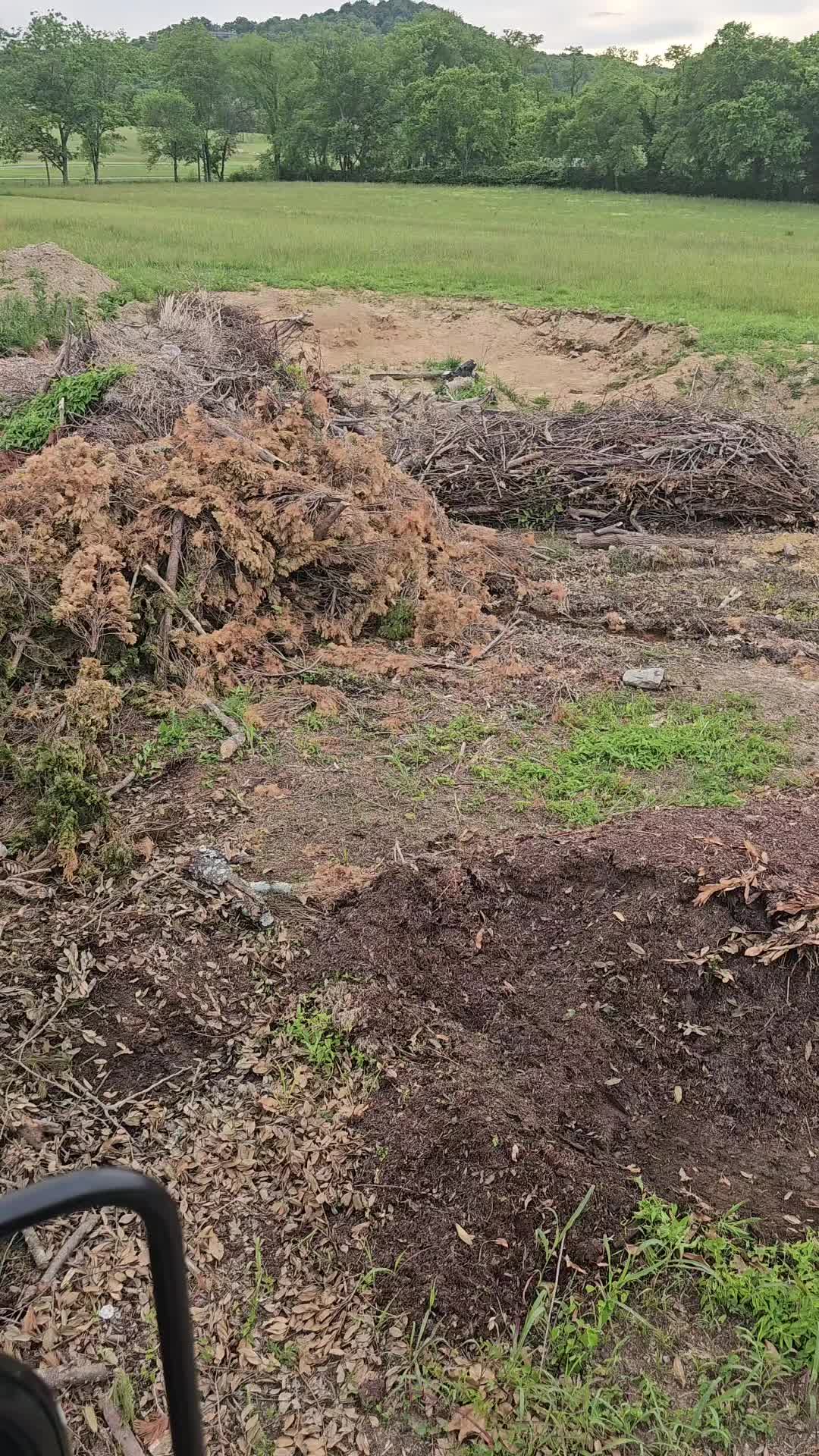 @TLC TREE CHAD