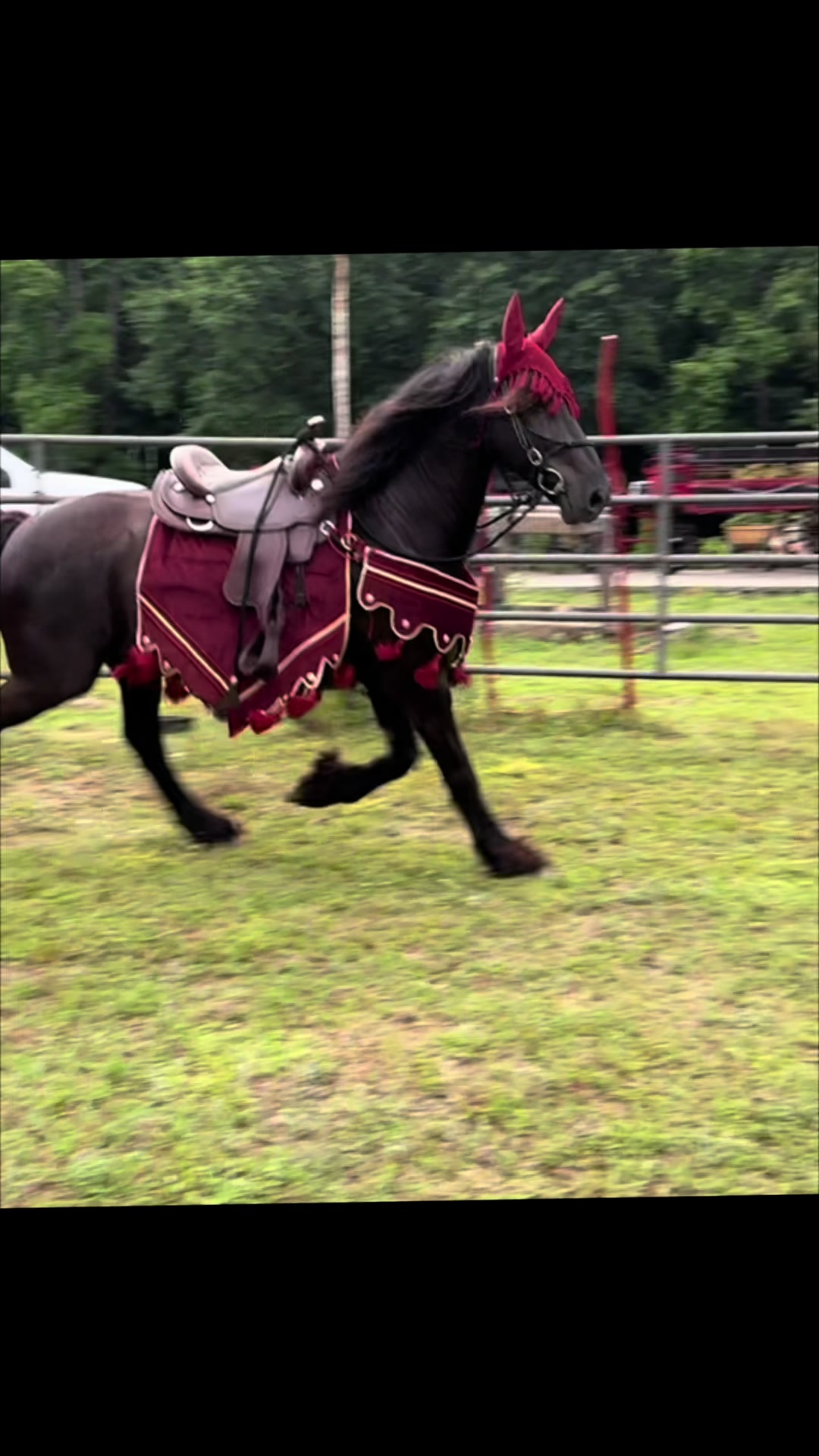@southerncharmcarriages