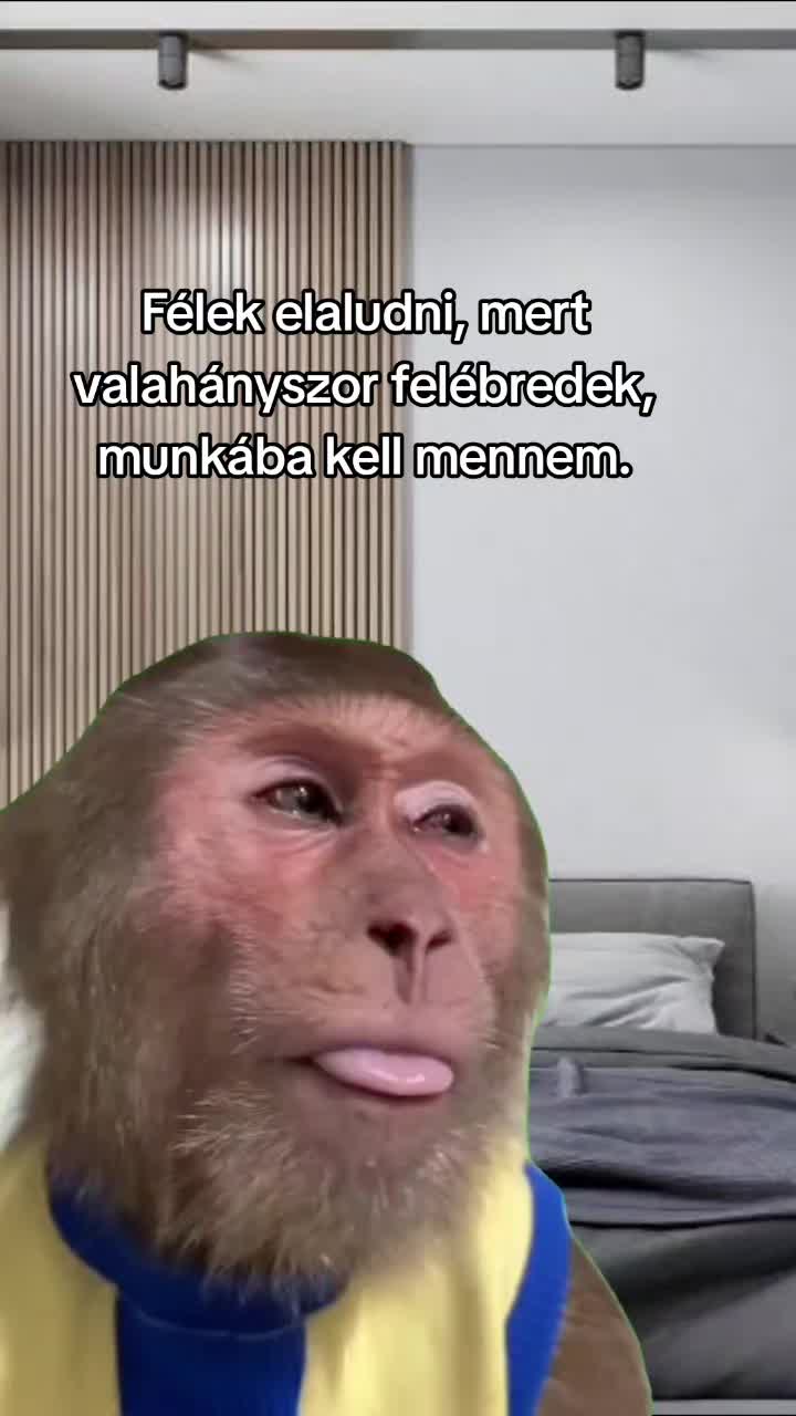 @🌷 Szandi 🌷