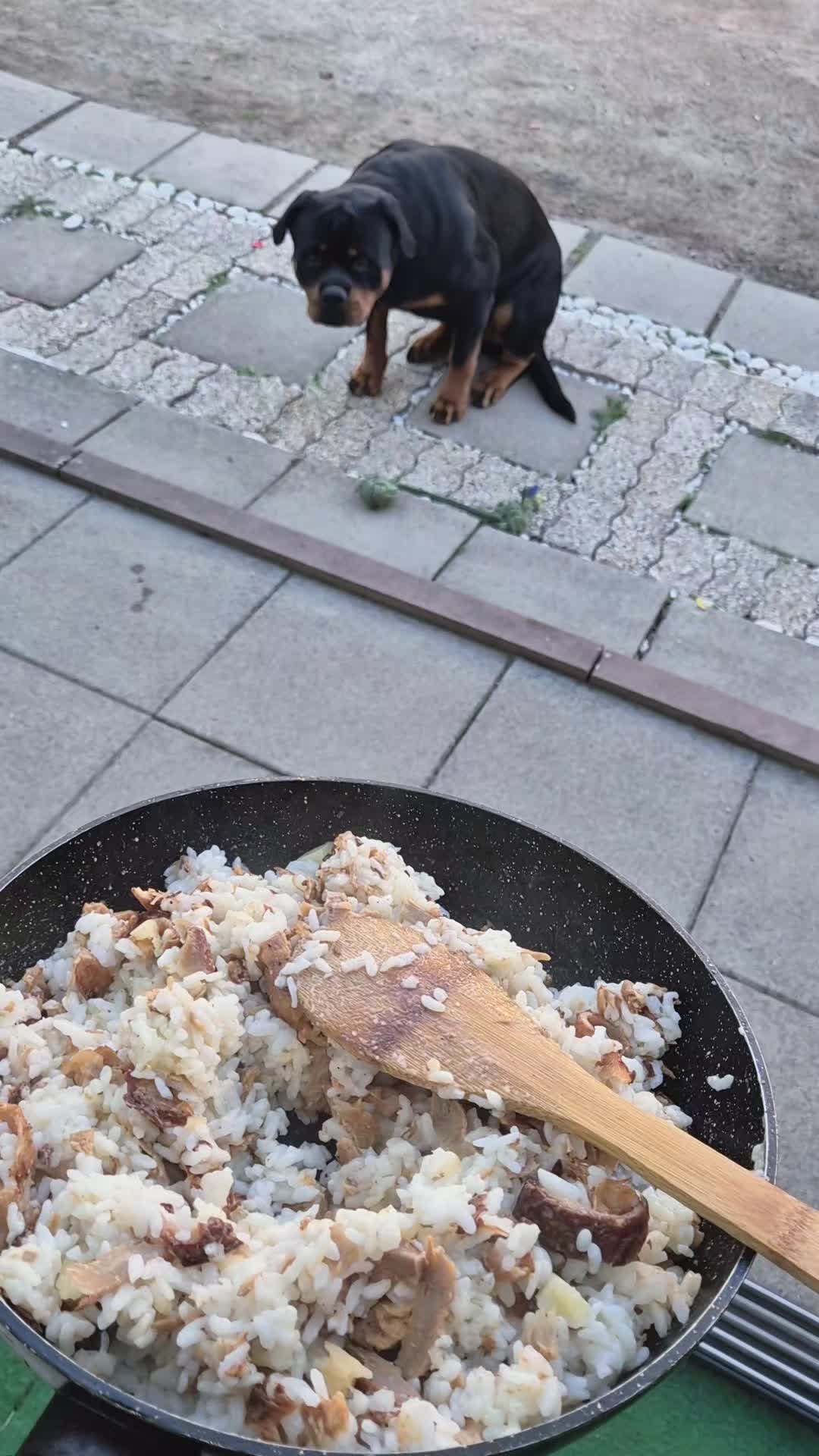 @Gülseren Özdogan