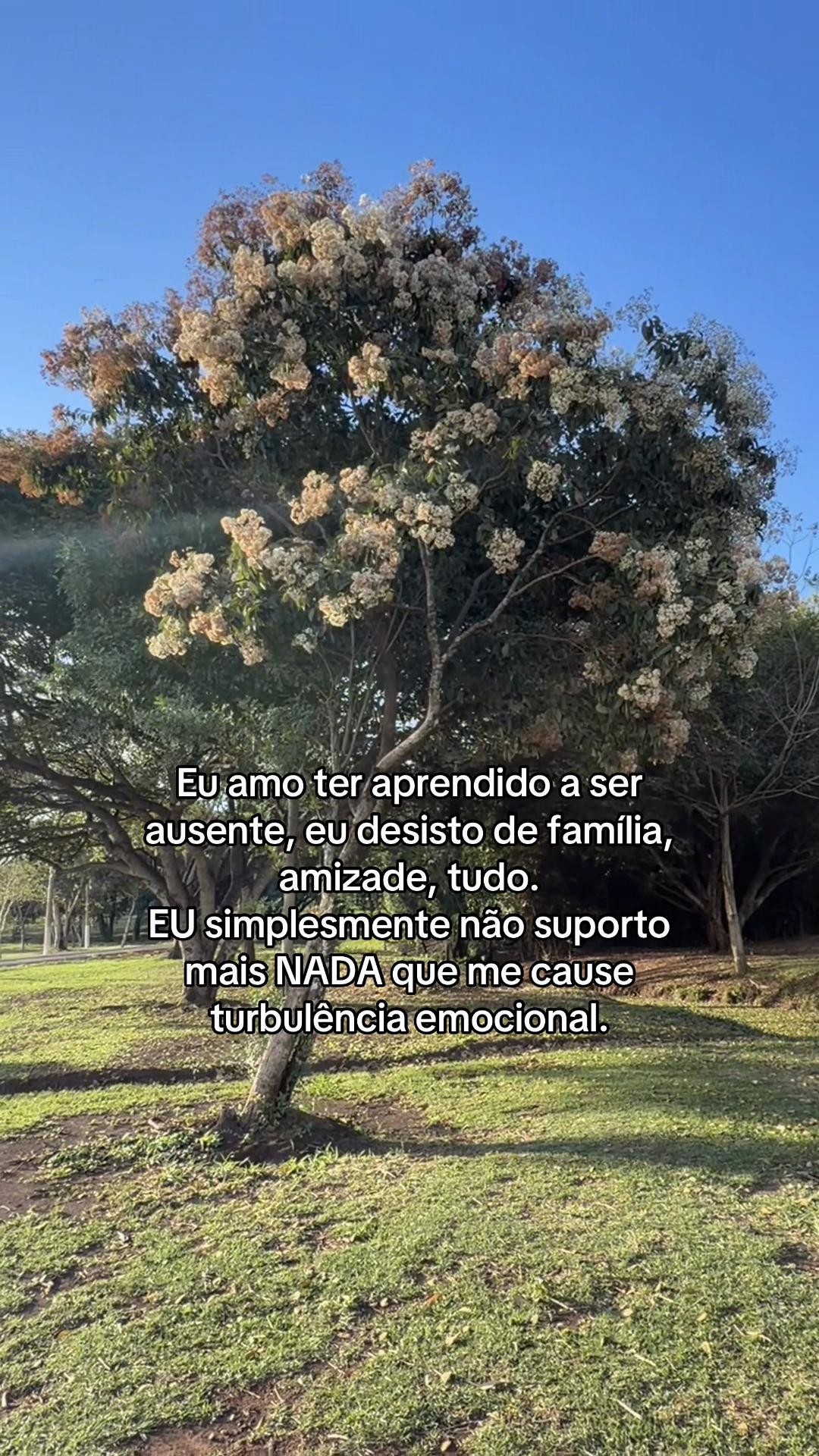 @Priscila Vieira