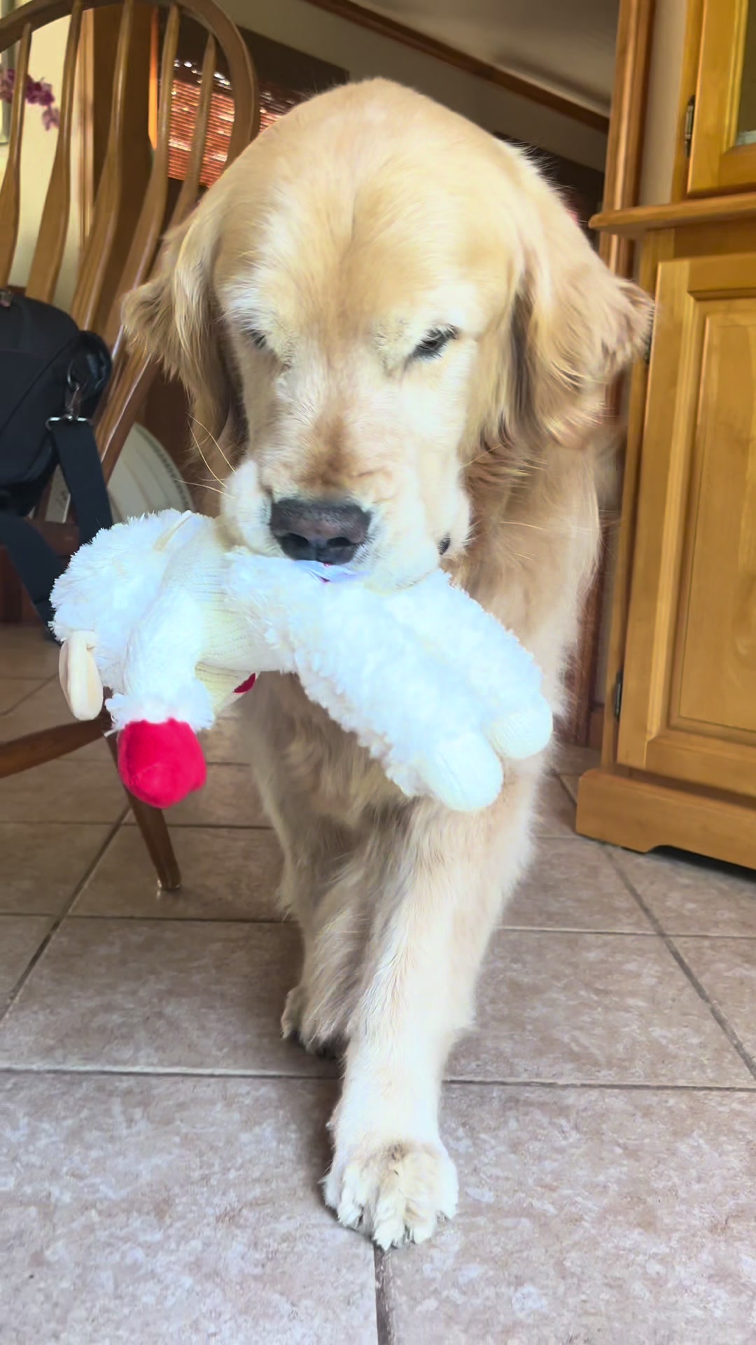 @Kody the Golden