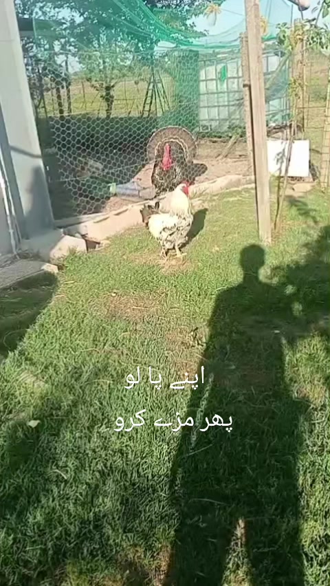 @Zahid.khan🍁🇨🇦